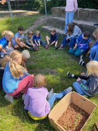 Landschildkr&ouml;ten LG Blau (12)