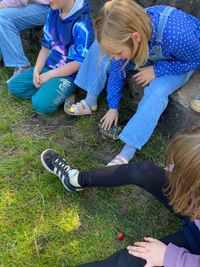 Landschildkr&ouml;ten LG Blau (9)